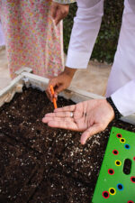 Organic Home Gardening Consultation - Image 3