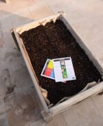 Organic Home Gardening Consultation - Image 8