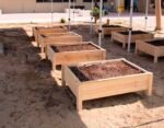 Raised Bed With Legs - Image 4