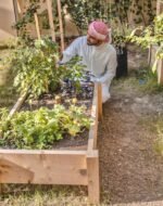Raised Bed With Legs - Image 2