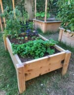 Raised Bed With Legs