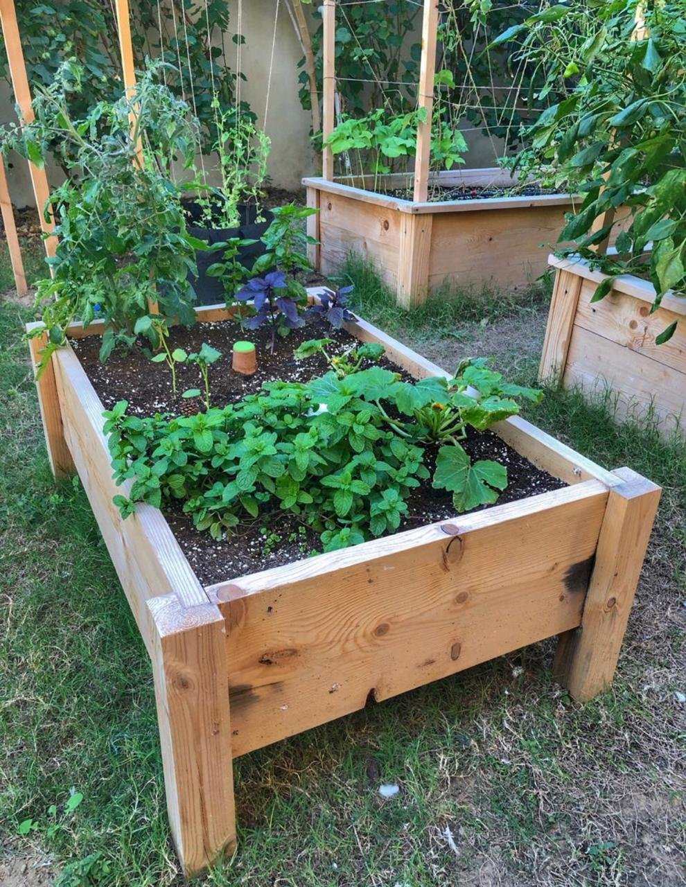 Raised bed 6 Raised Bed With Legs - Image 1