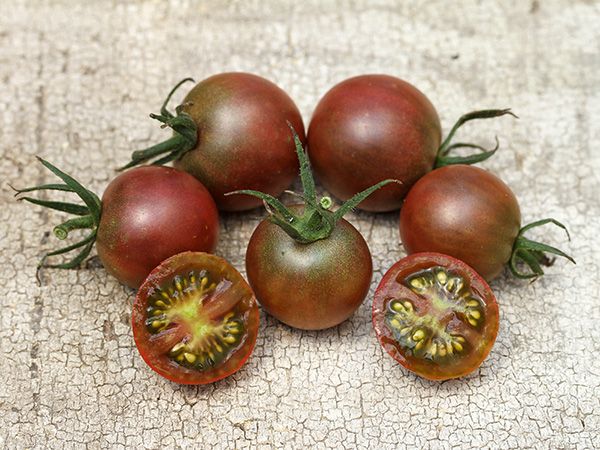 BLACK CHERRY TOMATO - بذور الطماطم الشيري الأسود - Local Roots