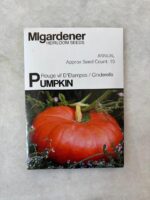 Cinderella Pumpkin - MIg