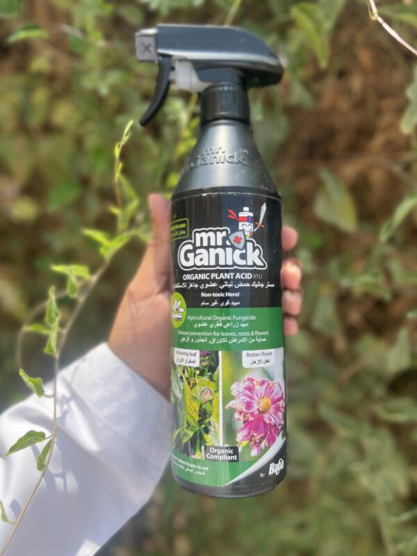 Mr Ganick Scale Terminator مبيد مستر جانيك العضوي - Image 1