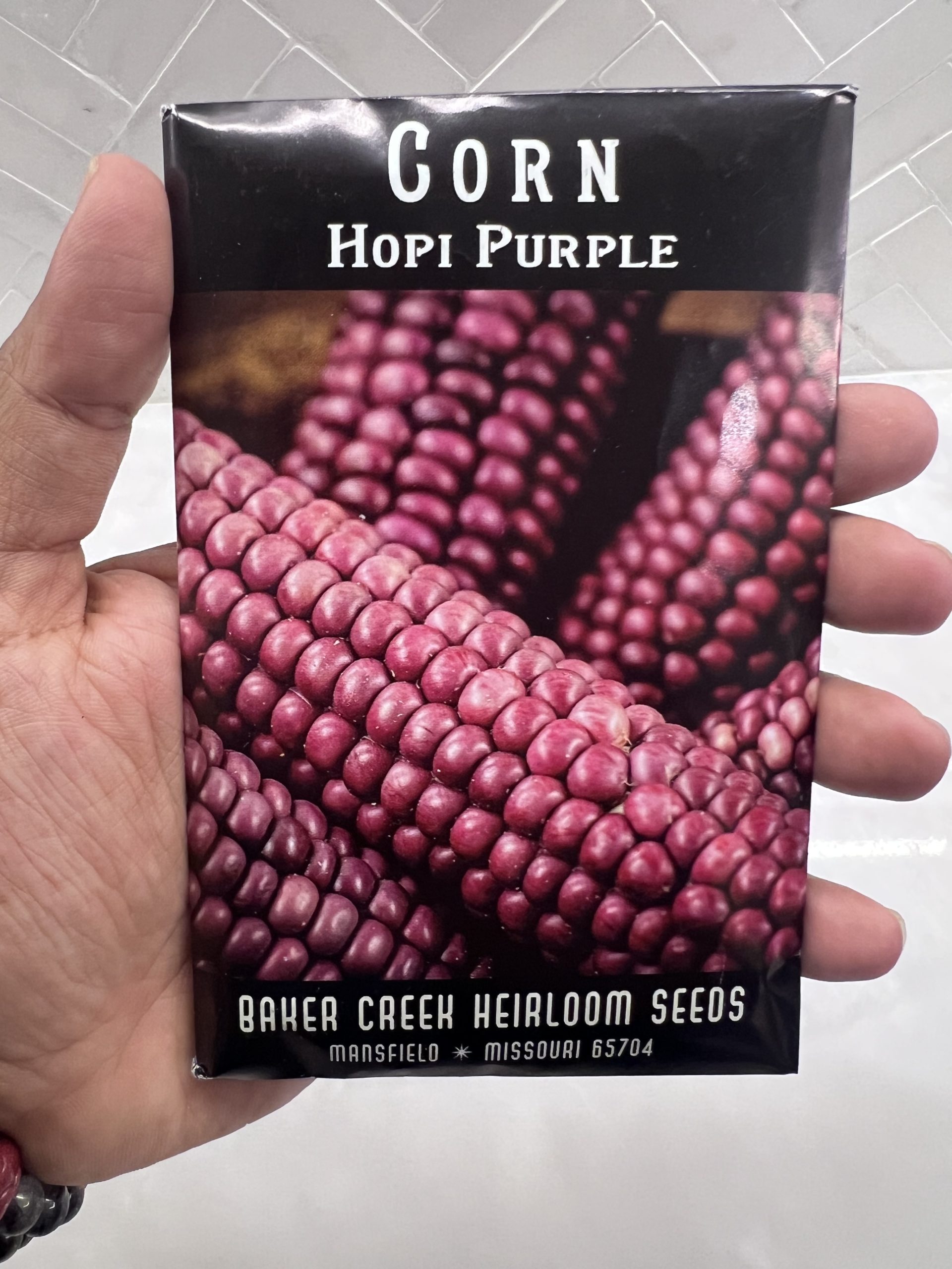 Corn, Hopi Purple - Local Roots