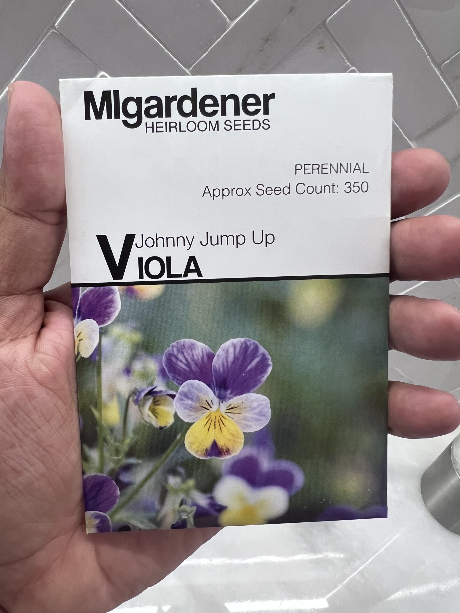 Photo 4-8-2023, 11 19 39 pm Johnny Jump Up Viola - MIg - Image 1