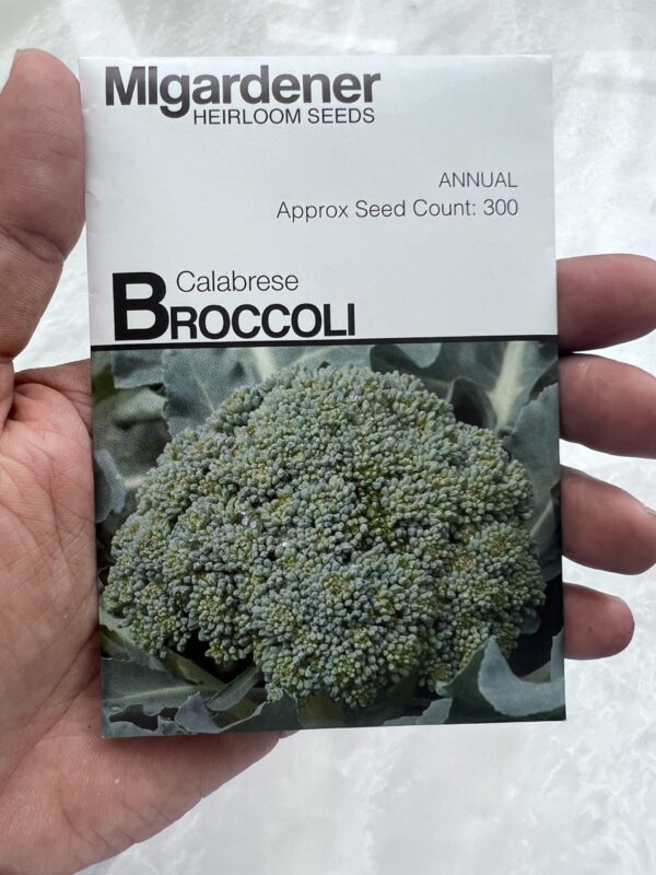 ⁦Calabrese Broccoli - بذور البروكلي - MIg⁩ - الصورة ⁦1⁩