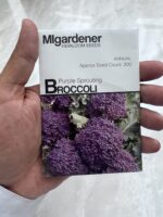 Broccoli Purple Sprouting - بذور البروكلي البنفسجي - MIg