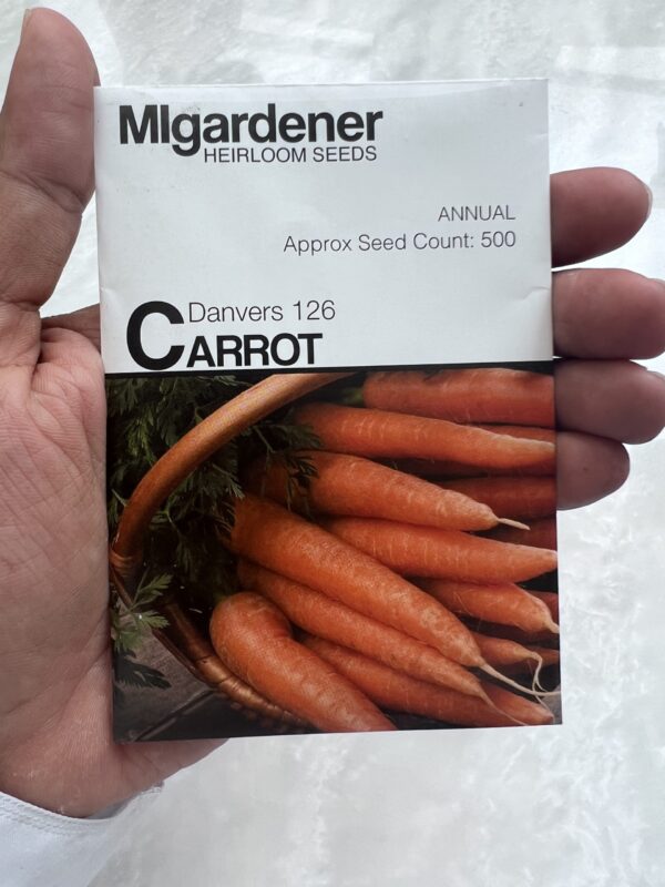 ⁦Carrots Danvers 126 - بذور الجزر - MIg⁩ - الصورة ⁦1⁩