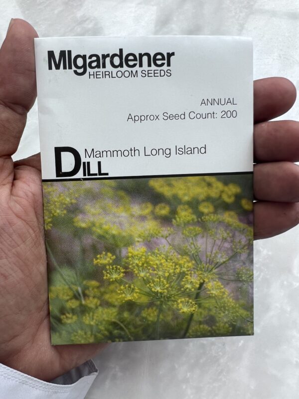 ⁦Dill Mammoth Long Island - بذور الشبت - MIg⁩ - الصورة ⁦1⁩