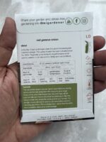 بذور بصل ريد جنيف - الصورة 2