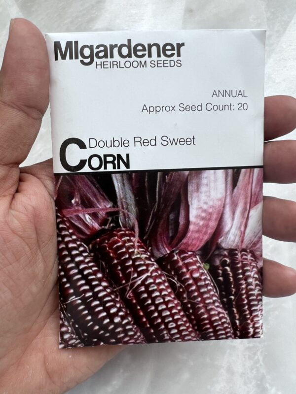 ⁦Double Red Sweet Corn - MIg⁩ - الصورة ⁦1⁩
