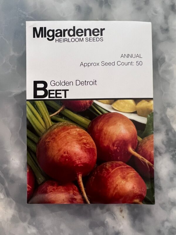 ⁦Golden Detroit Beet - MIg⁩ - الصورة ⁦1⁩