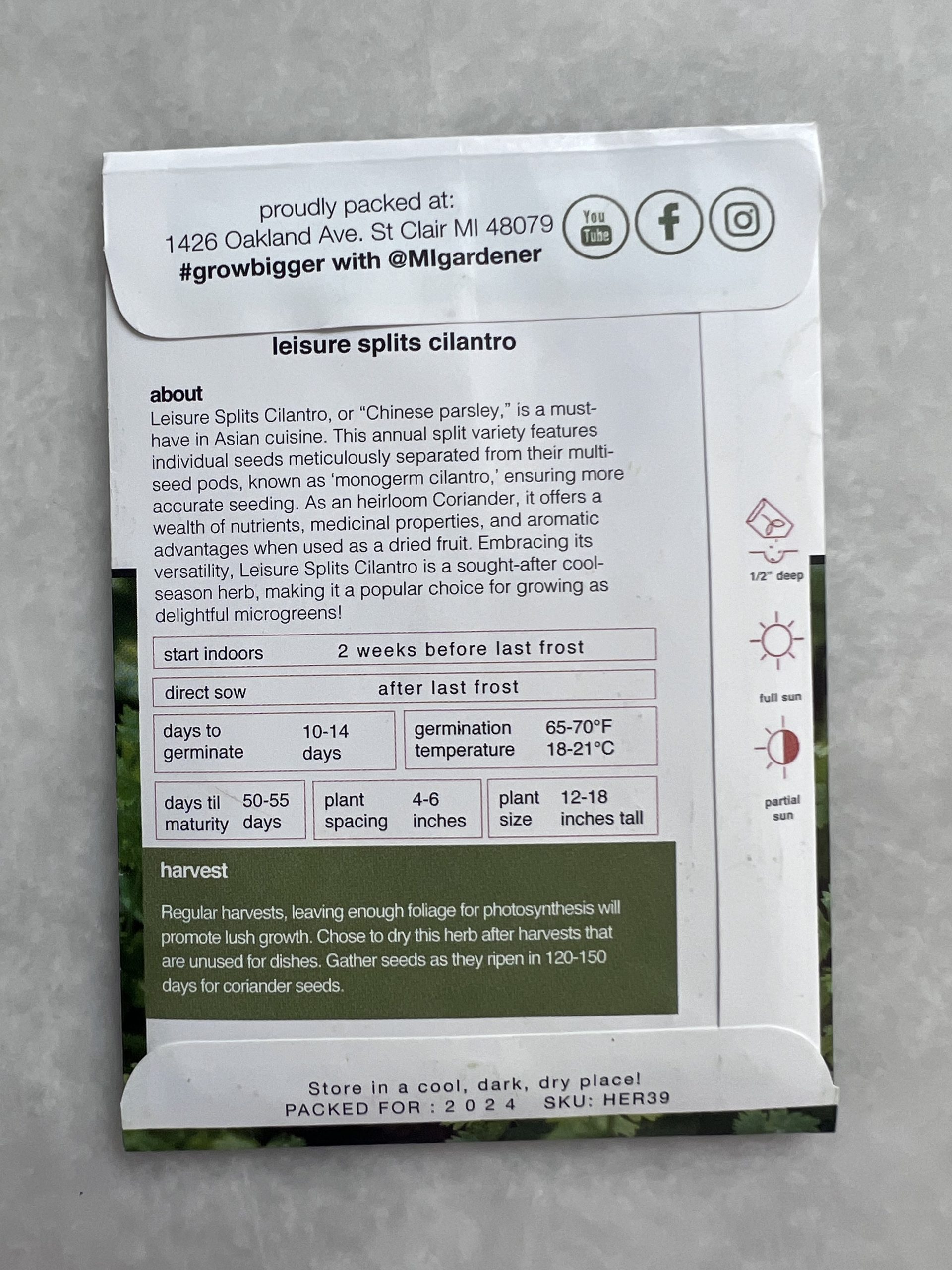 Local Roots Cilantro Leisure Splits Cilantro -MIg - Local Roots