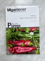 Big Jim Papers - MIg - Image 2