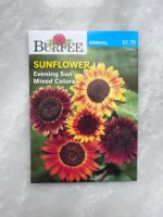 Sunflower Evening Sun - BP