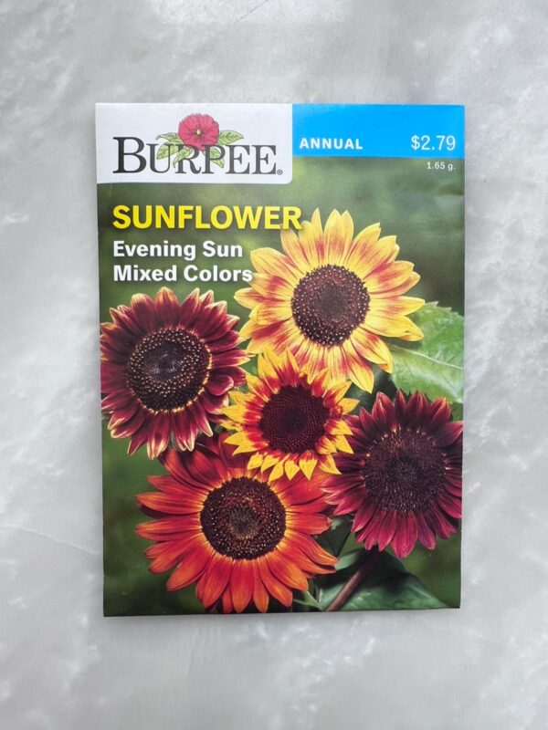 Sunflower Evening Sun - BP - Image 1