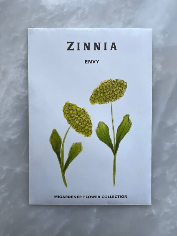 ⁦Envy (Lime Green) Zinnia - MIg⁩ - الصورة ⁦2⁩
