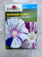 Morning Glory Cranevale - BP