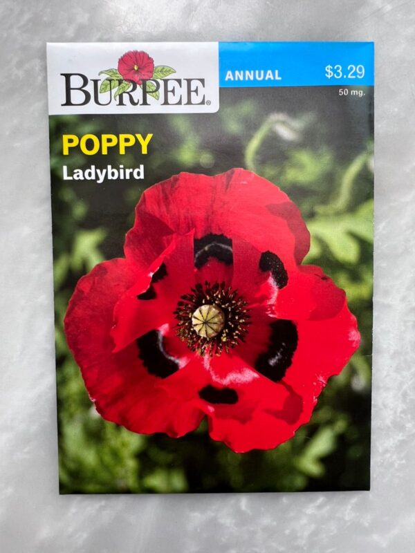 Ladybird Poppy - BP - Image 1