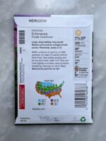 Echinacea Purple Coneflower - BP - Image 2