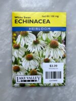 Echinacea White Swan - BP