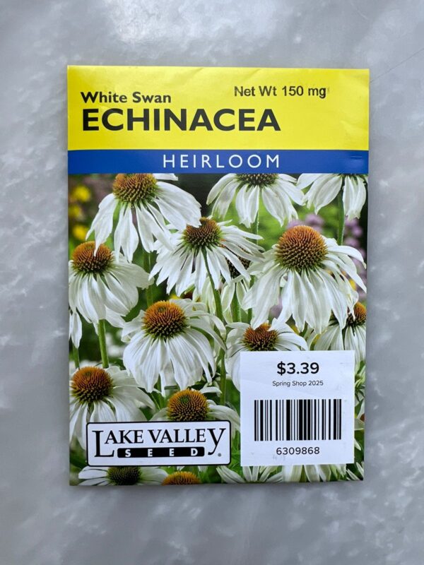 Echinacea White Swan - BP - Image 1