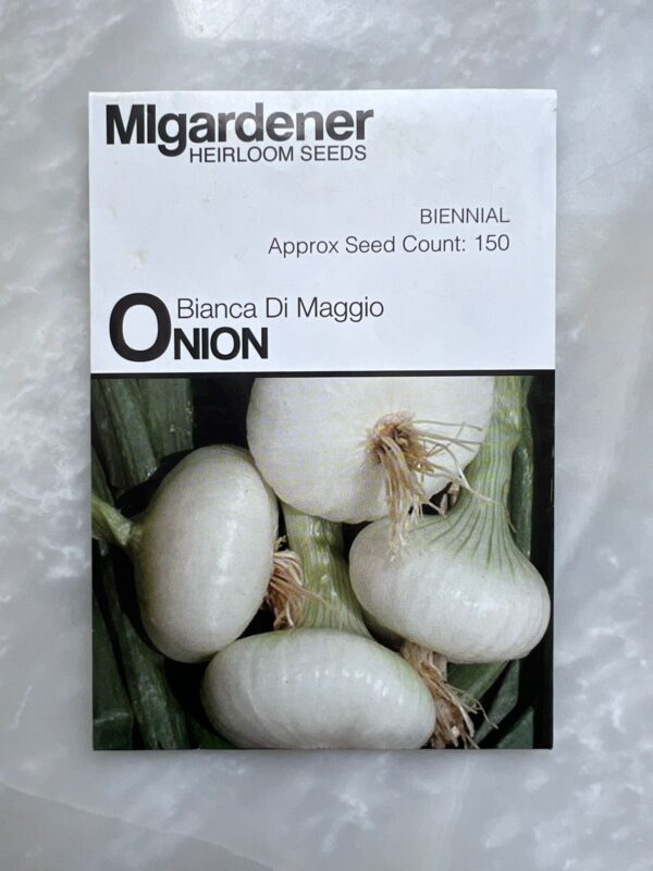 ⁦Onion Bianca Di Maggio - MIg⁩ - الصورة ⁦1⁩