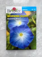 Morning Glory Heavenly Blue - BP