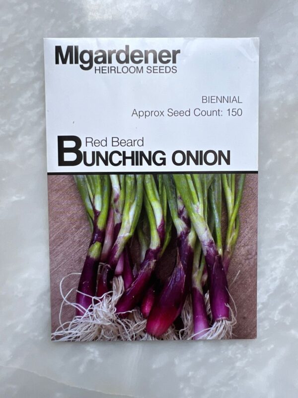 ⁦Onion Bunching Red Beard - MIg⁩ - الصورة ⁦1⁩