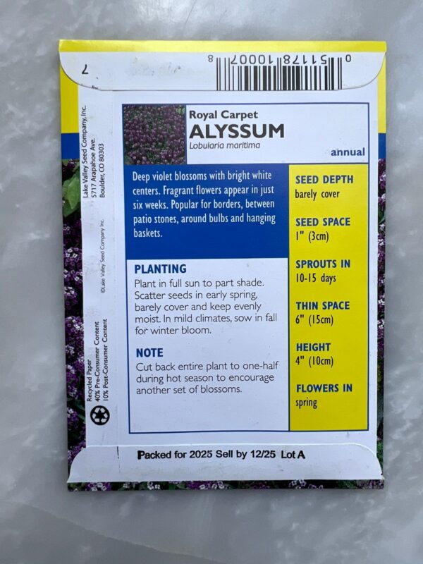 Royal Carpet Alyssum - LV - Image 2