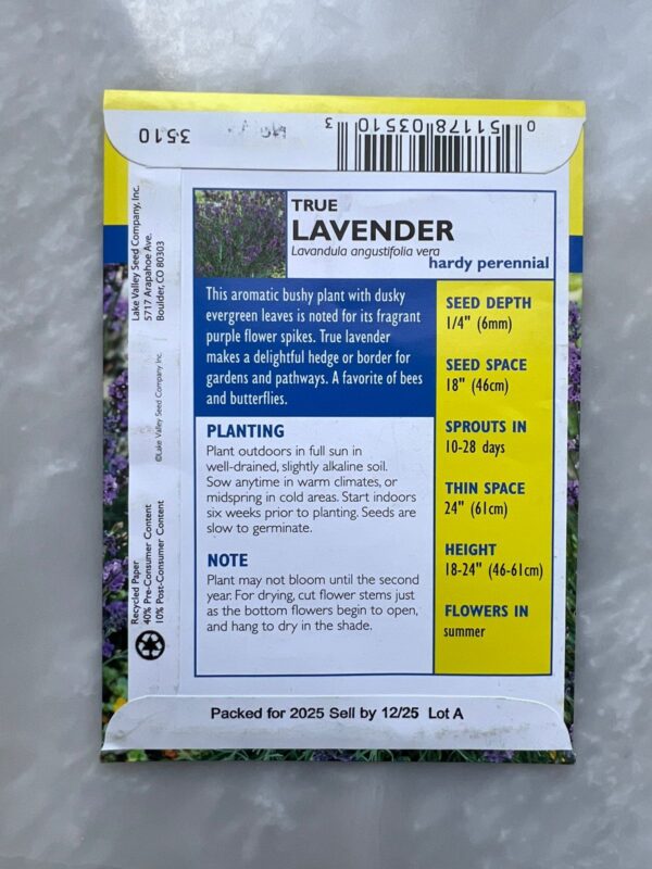True Lavender - LV - Image 2