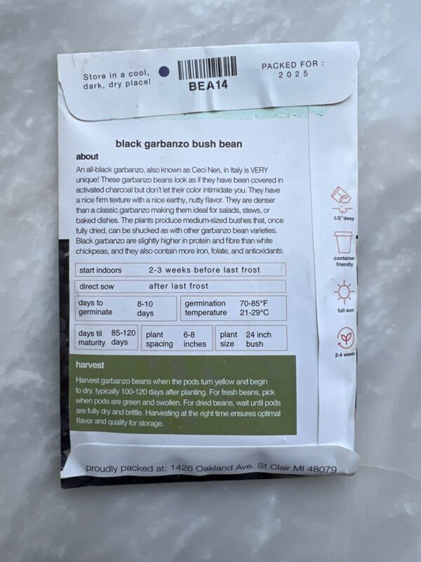 ⁦Bean Black Garbanzo (Bush) - MIg بذور الحمص⁩ - الصورة ⁦2⁩