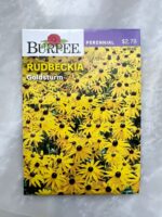 Rudbeckia Goldstrum - BP