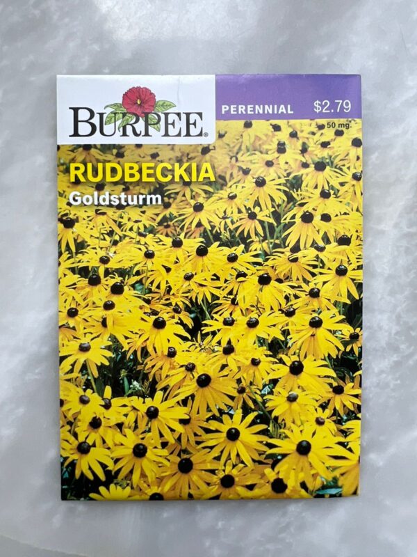 ⁦Rudbeckia Goldstrum - BP⁩ - الصورة ⁦1⁩