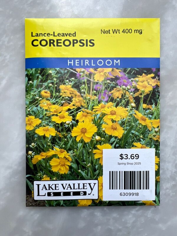Lance-Leaved Coreopsis - LV - Image 1