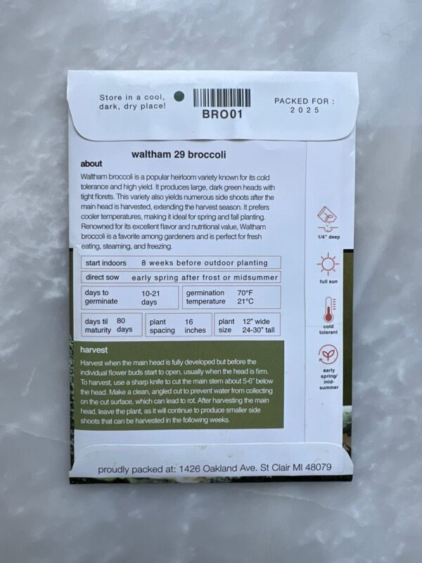 ⁦Broccoli Waltham 29 - MIg⁩ - الصورة ⁦2⁩