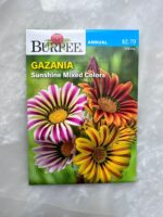 Gazania Sunshine Mixed Colors - BP