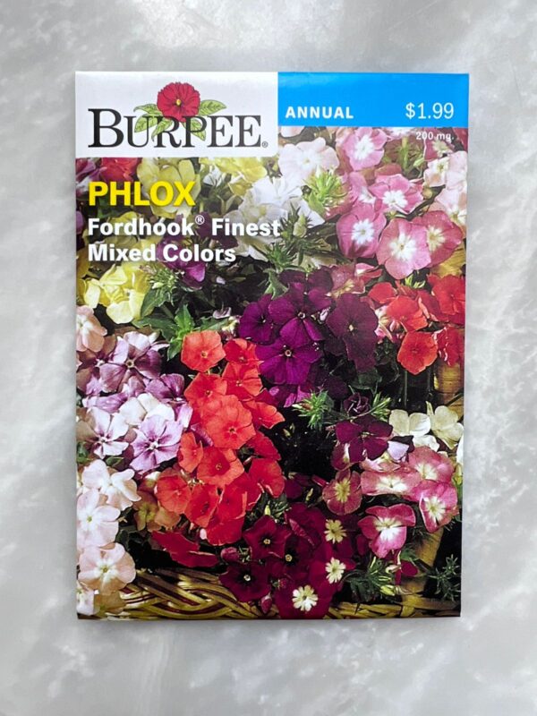 ⁦Phlox Mixed Colors - PB⁩ - الصورة ⁦1⁩