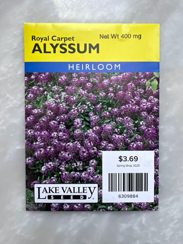 Royal Carpet Alyssum - LV - Image 1