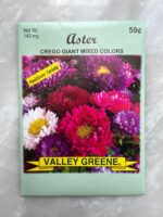 Aster Grego Giant - LV