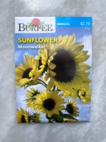 Sunflower Moonwalker - BP