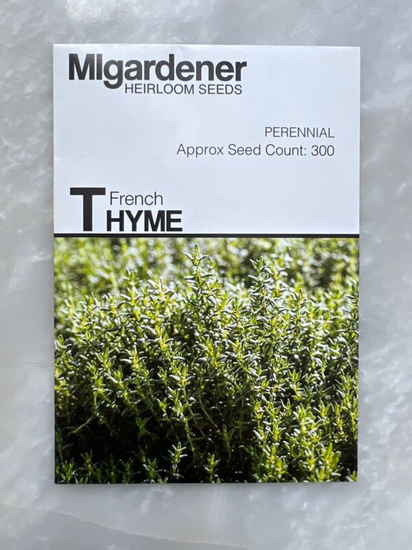⁦Thyme French - MIg⁩ - الصورة ⁦1⁩