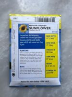 Sunflower Mammoth Greystripe - LV - Image 2