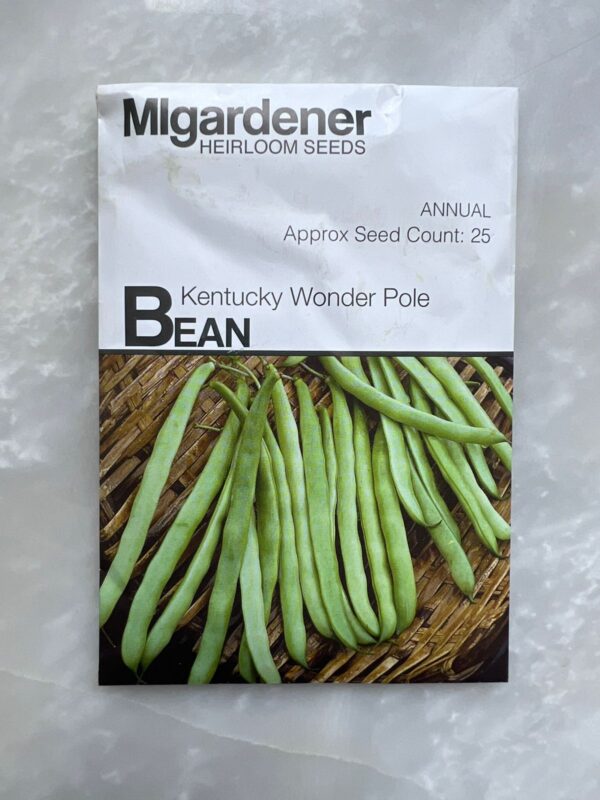 ⁦Bean Kentucky Wonder Pole - MIg⁩ - الصورة ⁦1⁩