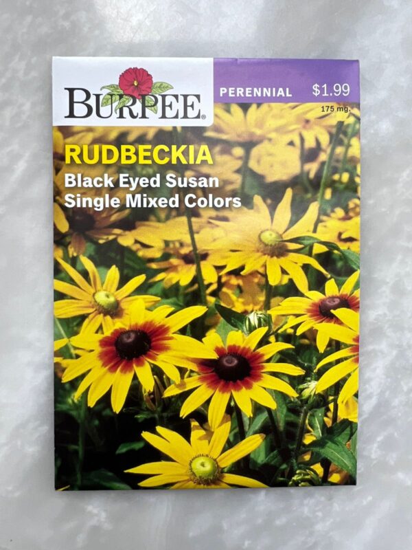 Rudbeckia Mixed - BP - Image 1