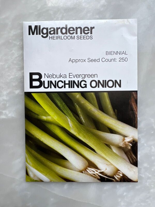 ⁦Onion Bunching Nebuka Evergreen - MIg⁩ - الصورة ⁦1⁩