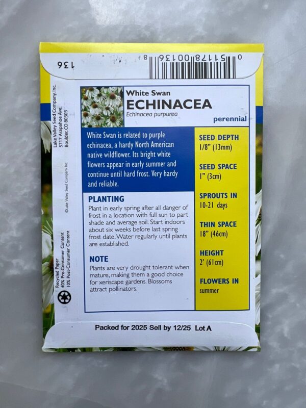 Echinacea White Swan - BP - Image 2