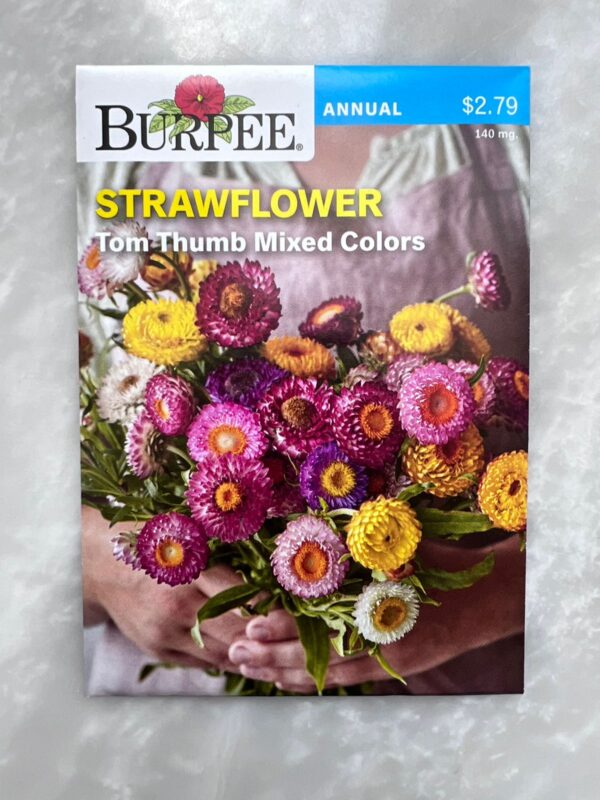 Strawflower Tom Thumb Mix - BP - Image 1
